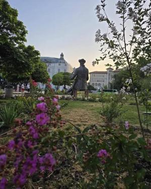 PMB a &icirc;nceput curățenia și reamenajarea parcurilor și spațiilor verzi.