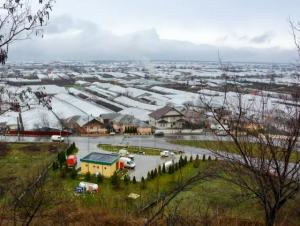 Guvernul menține scutirea de impozit pentru sere, solarii și silozuri