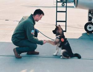 Cerul aviației rom&acirc;nești a pierdut un pilot curajos: căpitanul Octavian Palferenț a murit la 30 de ani