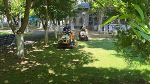 Continuăm transformarea spațiilor verzi din vecinătatea blocurilor!