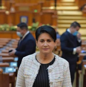 Deputatul Viorica Sandu: Guvernul României a aprobat continuarea plafonării prețului energiei și gazelor naturale