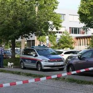 MAE anunță că doi români au fost răniți în atacul de la școala din Austria