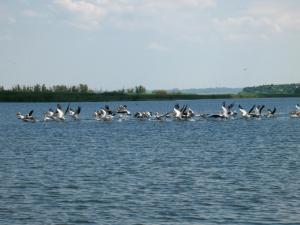 VOTEAZĂ pentru județul Tulcea, DESTINAȚIA ANULUI 2025!