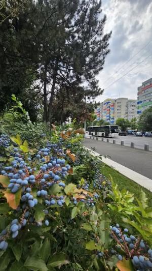 O nouă săptămână, noi provocări