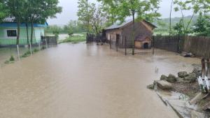 Ghid nou pentru autorități: prevenția și ecosistemele, &icirc;n prim-plan &icirc;n gestionarea inundațiilor