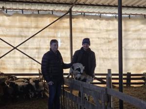 Tradiția oieritului &icirc;n Alba