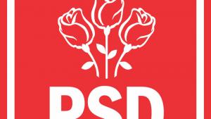 PSD susține că premierul Bolojan nu are obligația să își depună mandatul în cazul unei decizii negative la CCR