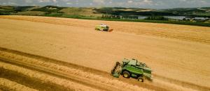 Mii de cereri pentru acordarea sprijinului financiar de urgență destinat crescătorilor de ovine și caprine