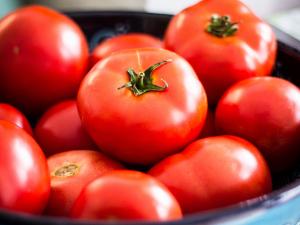 Ministerul Agriculturii: Programul Tomata continuă și în 2023