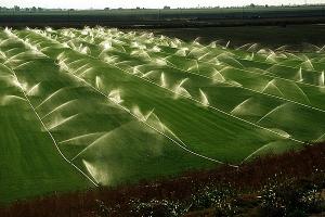 Ministrul Agriculturii a inspectat sistemele de irigații din Lunca Dunării