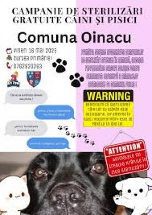 Campanie de sterilizare GRATUITĂ a animalelor de companie, într-o comună din Giurgiu