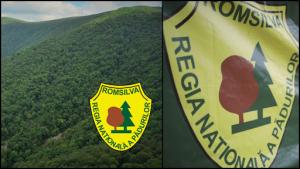 Romsilva organizează selecție pentru ocuparea funcției de director general provizoriu