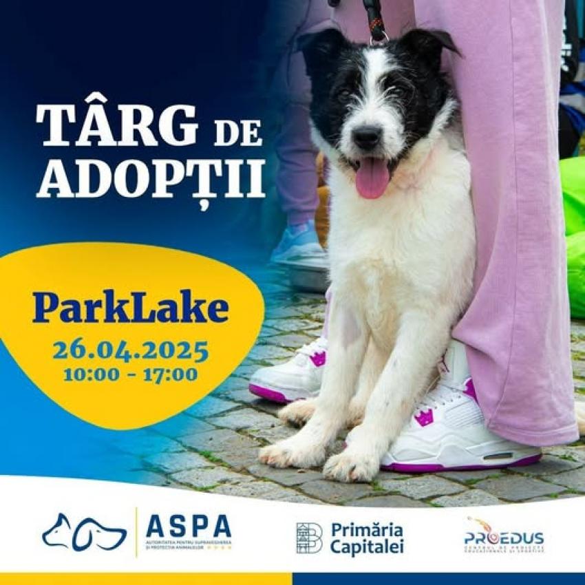 Târg de adopții de căței la ParkLake Shopping Center